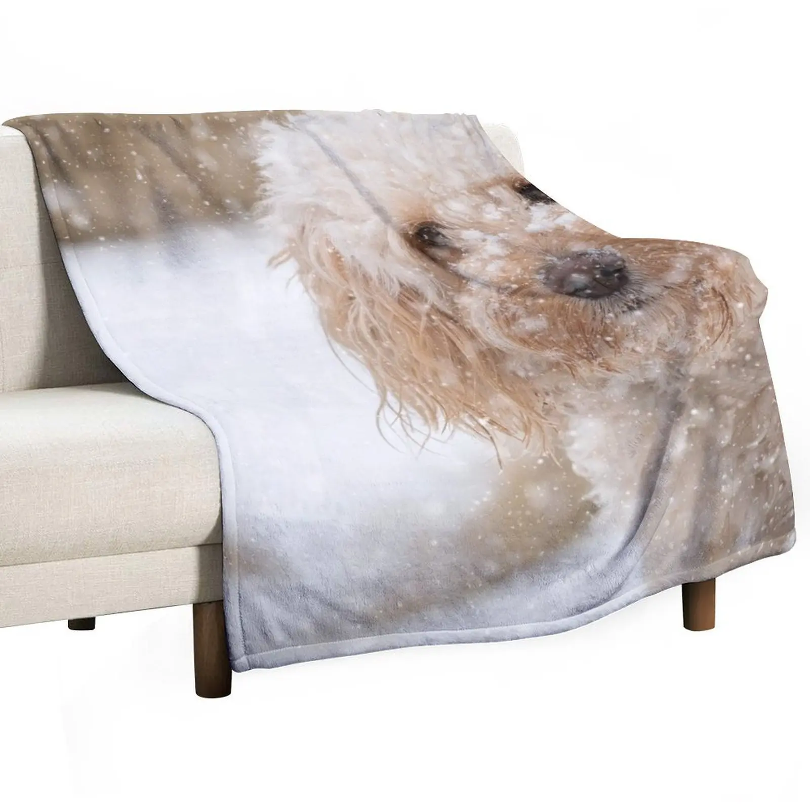 A beautiful Cockapoo in the snow Throw Blanket Cozy Sofa Blanket for TV Watching Napping