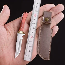 1PC mini knife, outdoor survival knife, EDC portable camping knife, stainless steel paring knife