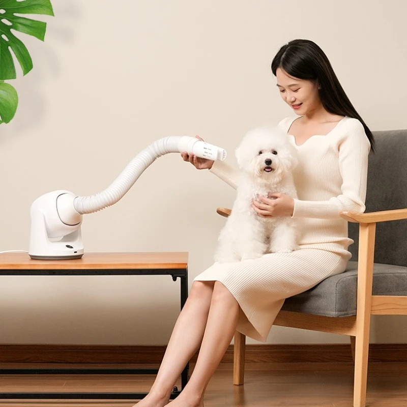 

Compact Fast Drying Clothes Dryer Boot Drying Device Blanket Warmer Fan Heater Timer Small Easy Storage Portable Mobile Home