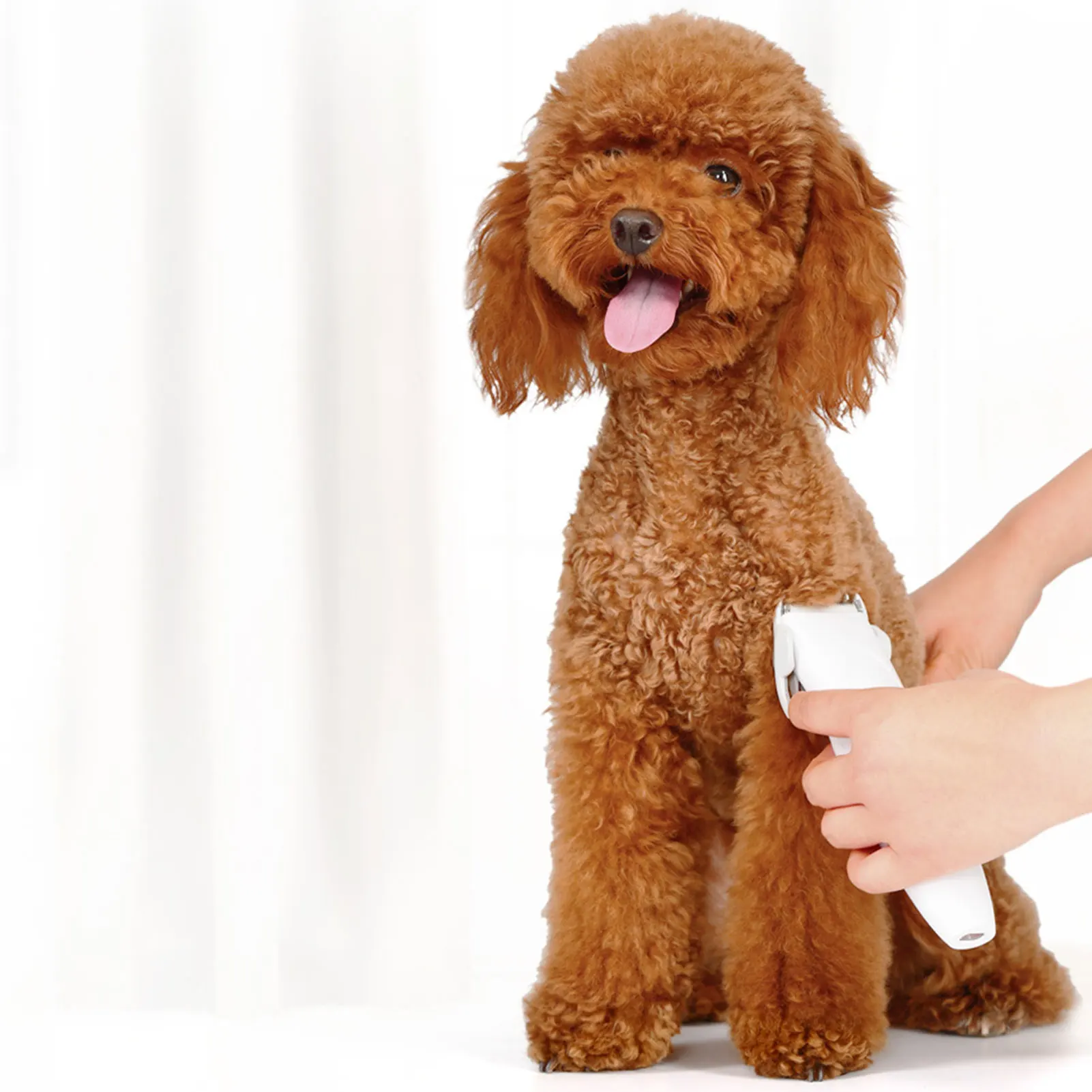 Afeitadora eléctrica para mascotas, cortadora de pelo de bajo ruido, cuchilla afilada segura, recortadora de dientes para perros y gatos, caída de pelo