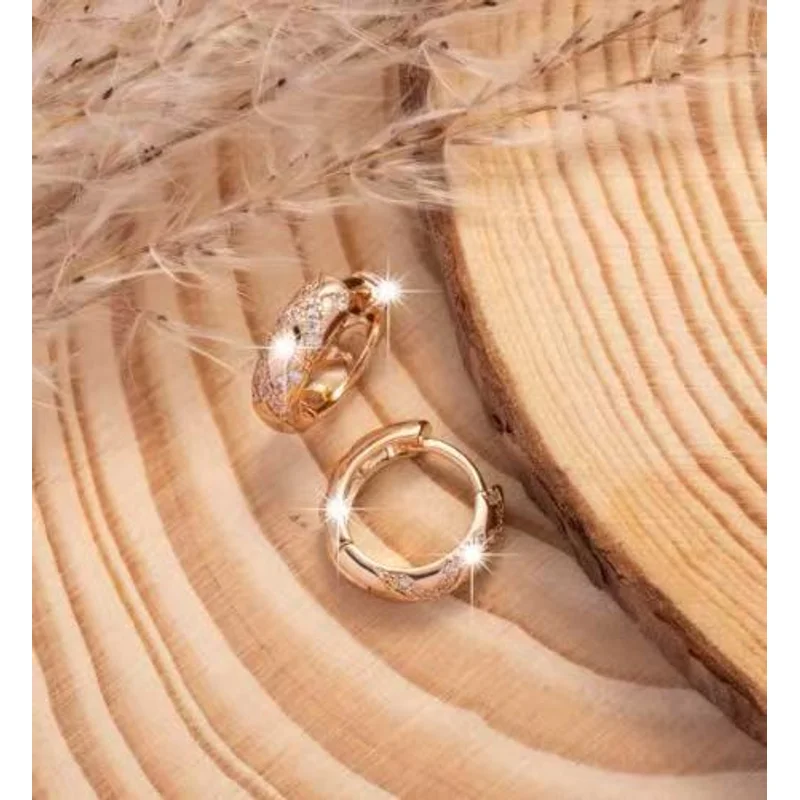 EVISPOL 18K Gold Plated Stainless Steel Round Circle Earrings for Women Cubic Zircon Star Hollow Hoop Earrings Piercing Jewelry