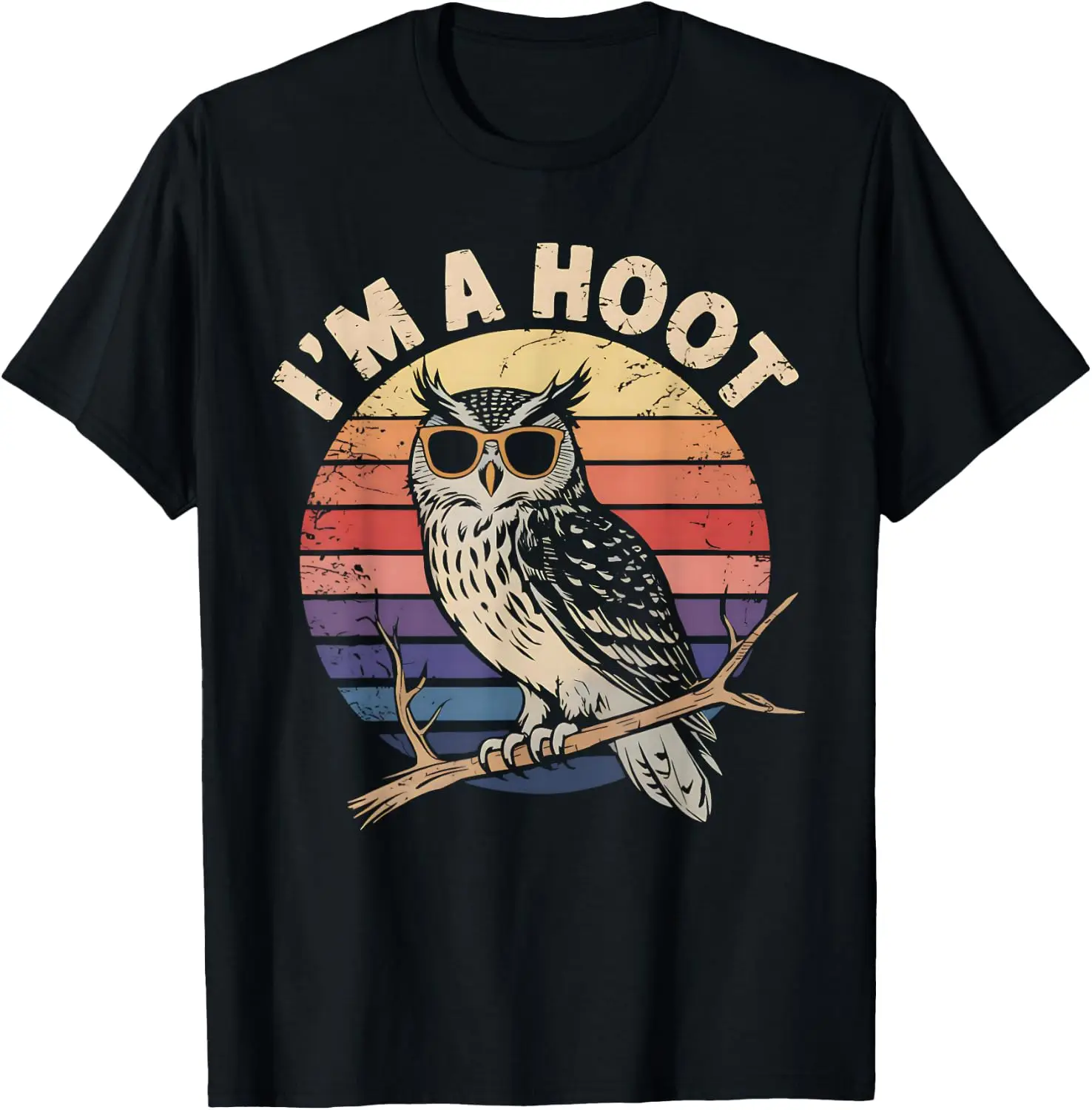 Retro I'm A Hoot Owl Bird Lover Funny Sarcastic Vintage Joke T-Shirt Men Vintage Graphic T‑Shirt, Casual Crew Neck Short Sleeve Retro Art Print Tee, Classic Distressed Style Printed Top