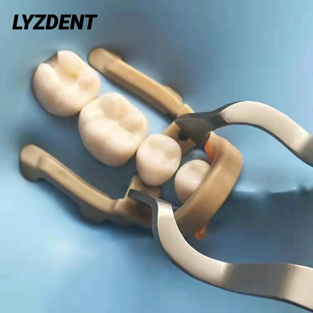 

LYZDENT Dental Dam Clamp Distal Extension Premolar Rubber For Dental Dam Clamp Rubber Barrier Clip Resin Clamp Dentistry Tools