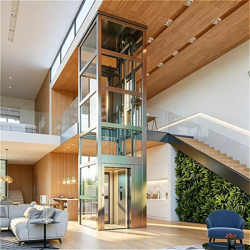 Basementless Home Lift Traction Type 280kg 2 Floors 0.3m S Customized for Townhouse High Quality High Efficiency Hot Sale