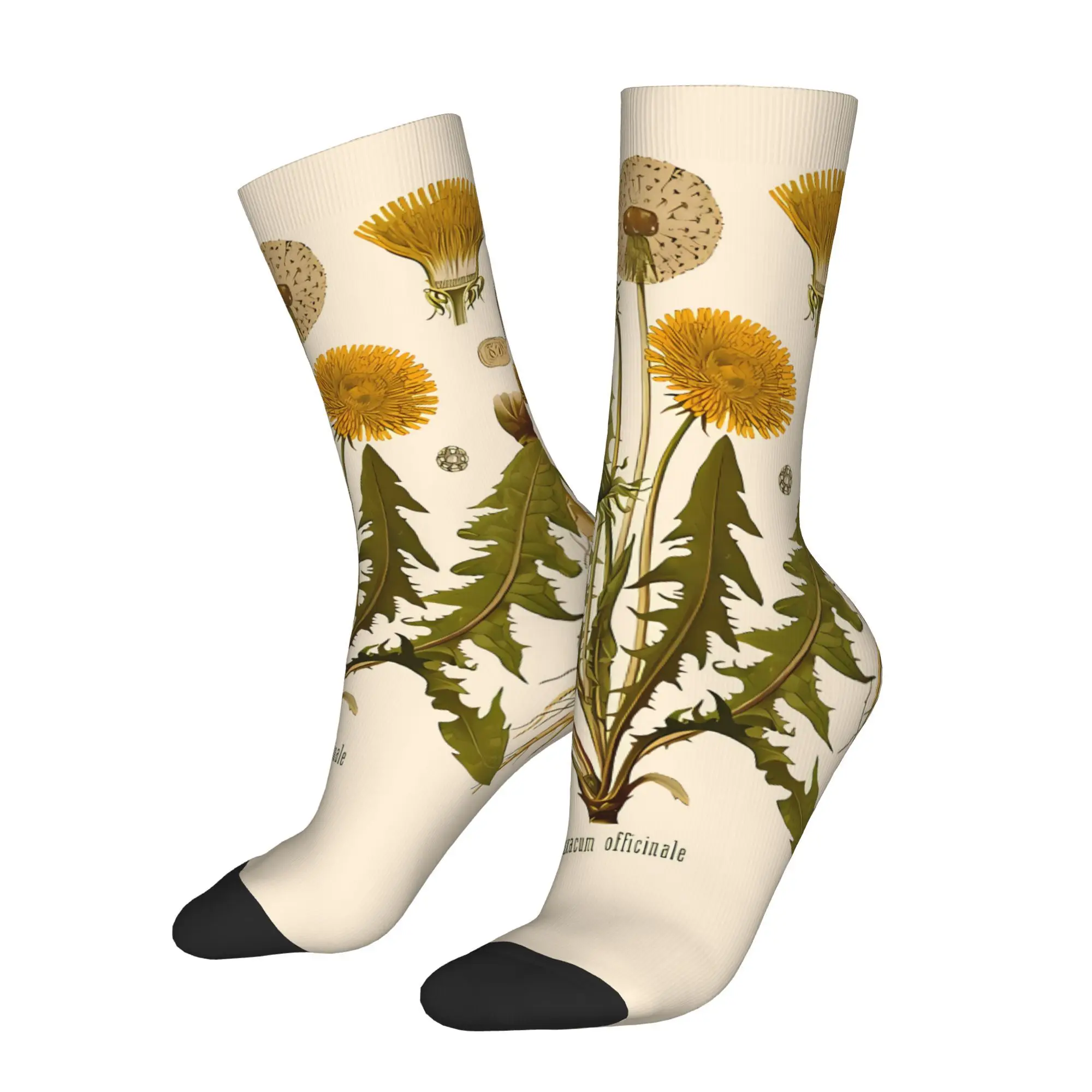 

Dandelion Sock Printed Man Polyester Fashion