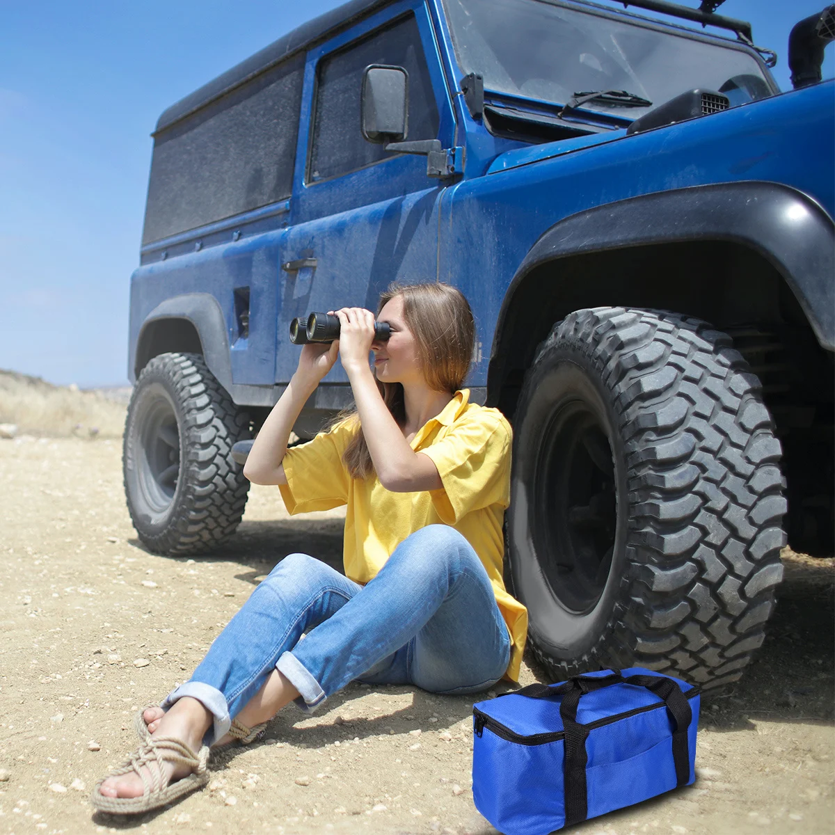 

12 L Insulated Ice Bag Bags for Food Portable Lunch Cooler Pizza Insulation Thermal Delivery