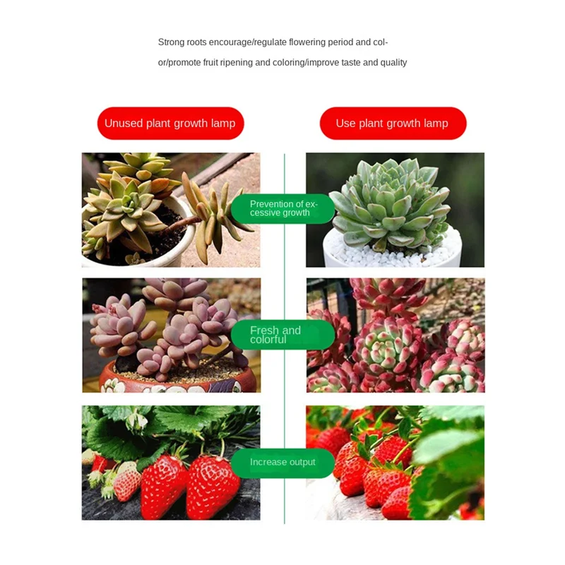 AD23-Grow Light For Plants With Control Full Spectrum Fitolamp Lights Home Flower Seedling Phyto Lamp