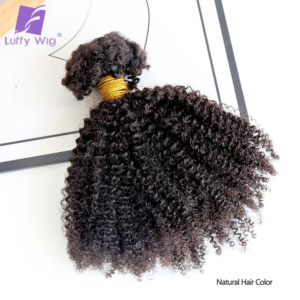 Afro Kinky Curly Locks, extensões de cabelo, Crochet Microlocks, Birmanês Remy Tranças Caixa Humana, Torção do cabelo, Bulk Trança