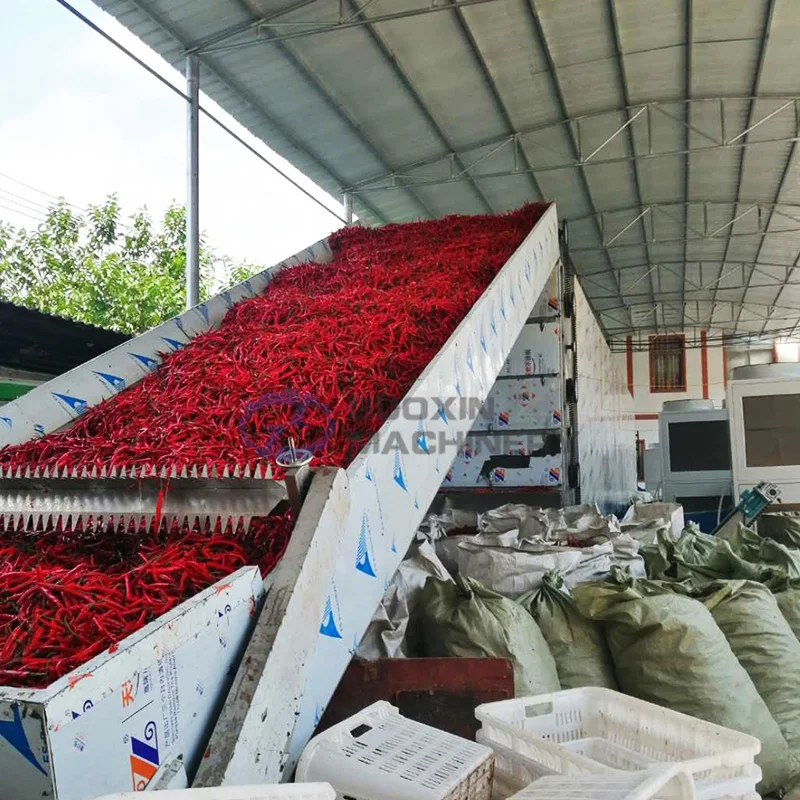 belt conveyor dryer fungus mushroom dehydrator herbs and spice drying machine red chili drying machine