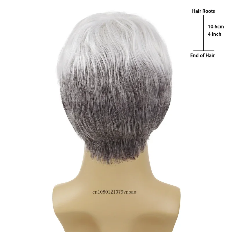 Blanche Wig for Men Synthetic Short Haircuts Male Cosplay Silver White Elderly Wig  Mannequin Head Real Photos Ombre Wig Bangs