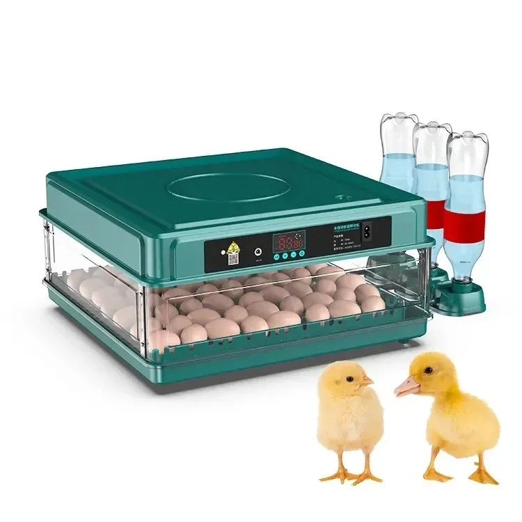 Automatic Constant Temperature Poultry Incubators Hatcher 70 s Capacity 98% High Hatching Rate Chick  Hatching Machine