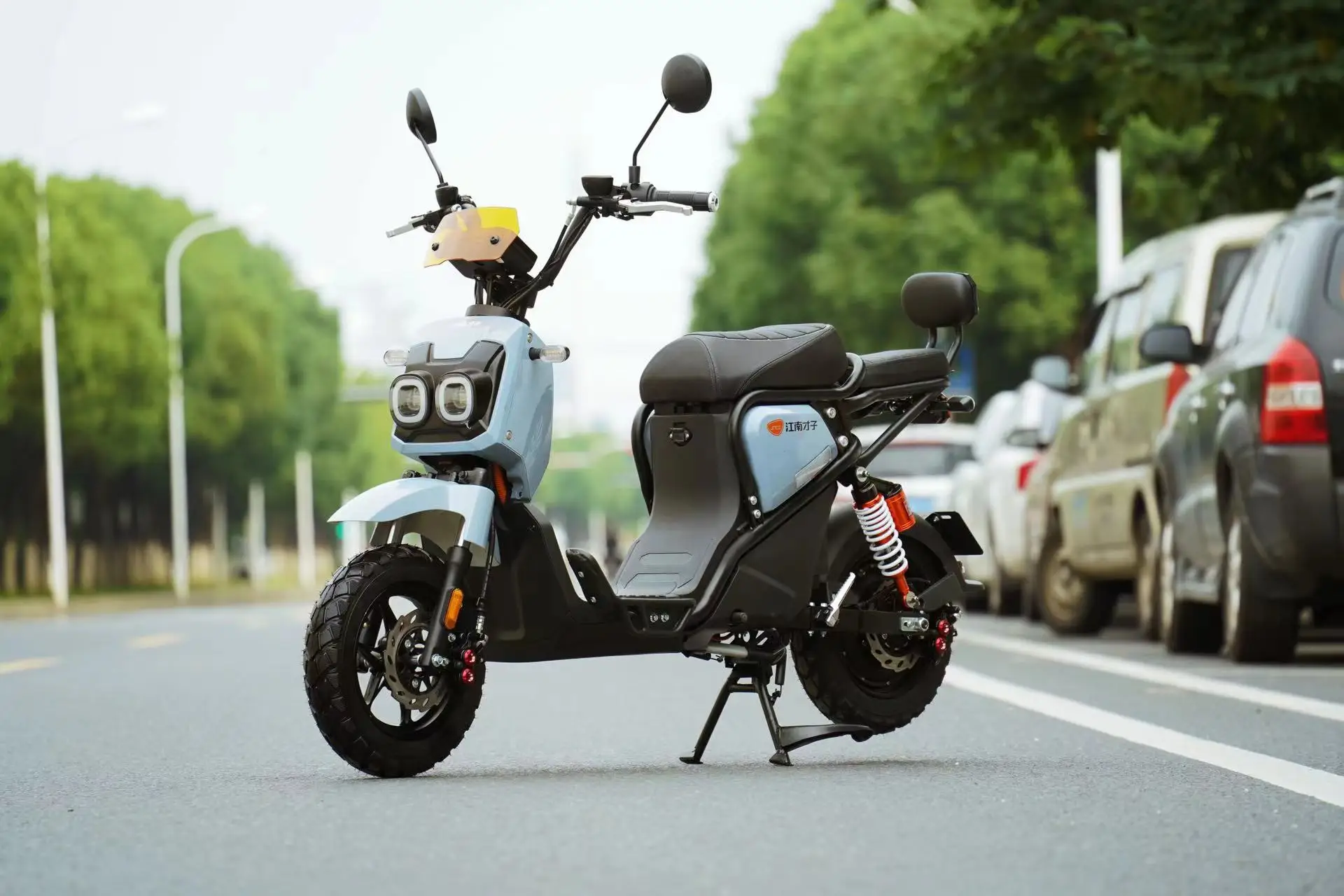 Electric motorcycle