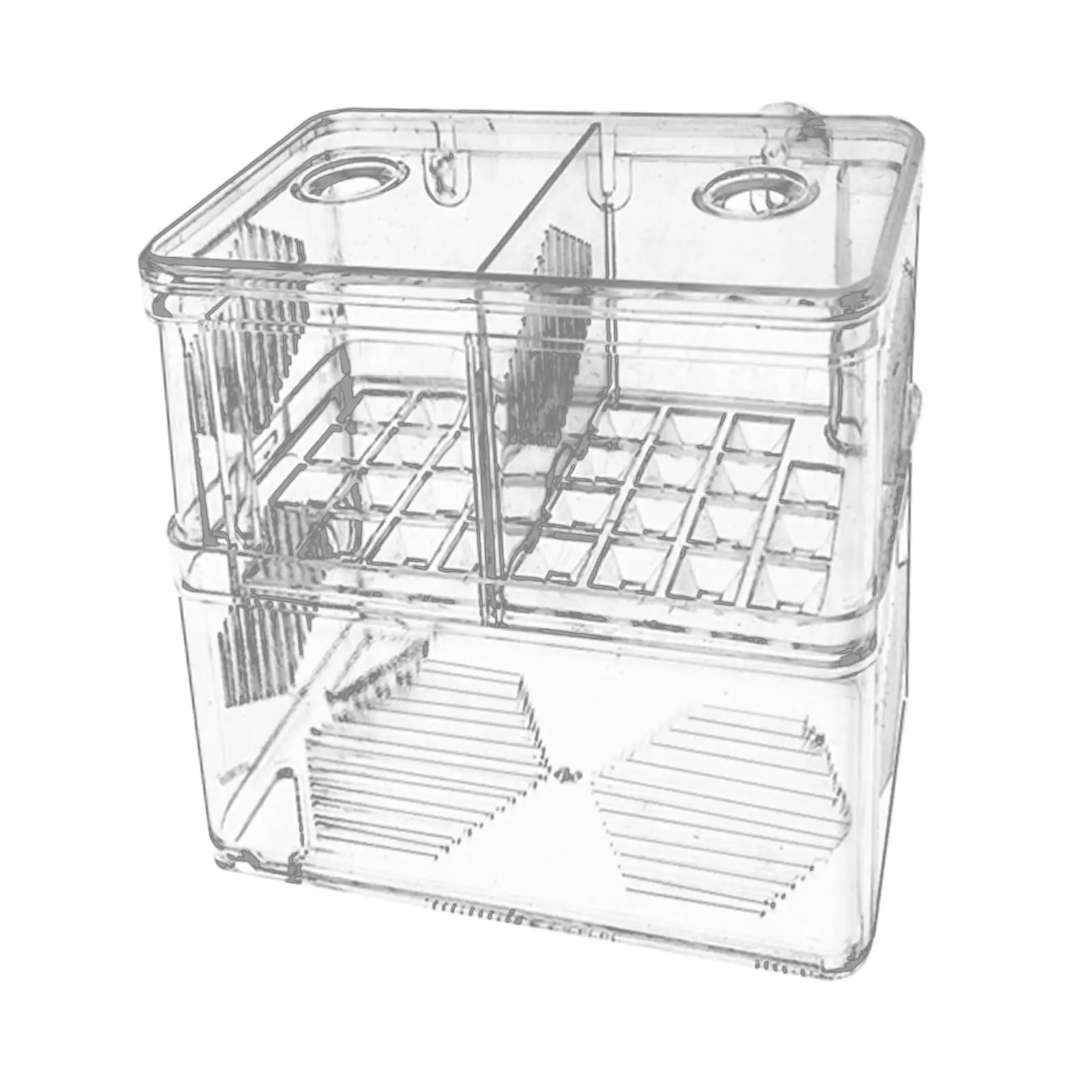 Scatola per allevamento di pesci d'acquario Scatola trasparente per isolamento di pesci per pesci pagliaccio Betta Guppy