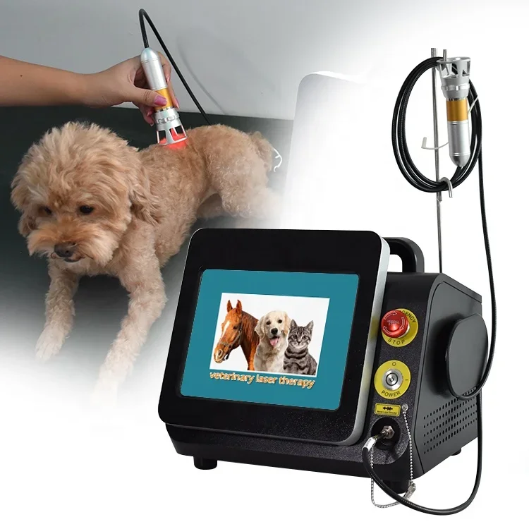 2022 Triangel portable 60w 980nm arthritis treatment veterinary Class IV laser equipment for dogs