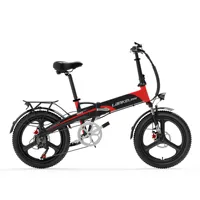 Lankeleisi 20 Inch Folding Electric bike G660 48V500W Rear Hub Motor 12.4Ah Lithium Battery Hydraulic Brake 35KM/H Max Speed