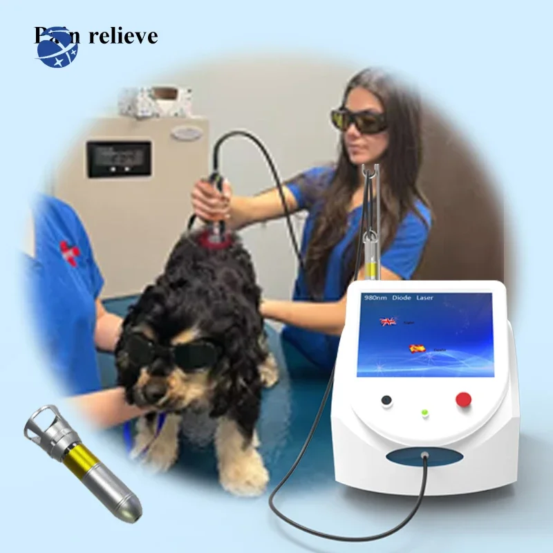 High power 980nm 60w Laser therapy for anti-pain Physiotherapy Wound healing Laser therapeutic device