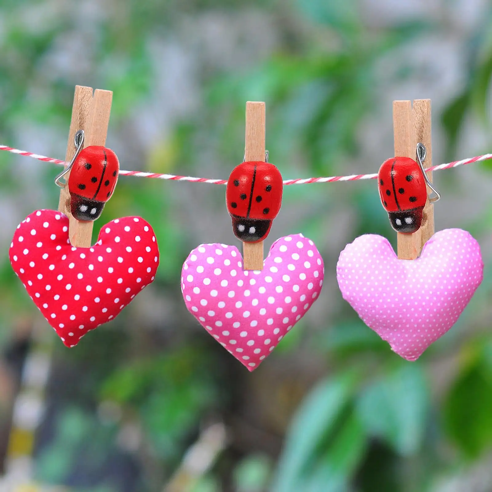 100 Pcs Clips Snack Holders Pegs Ladybug Little Craft Decoration Lovely Photo Wooden Picture Miss