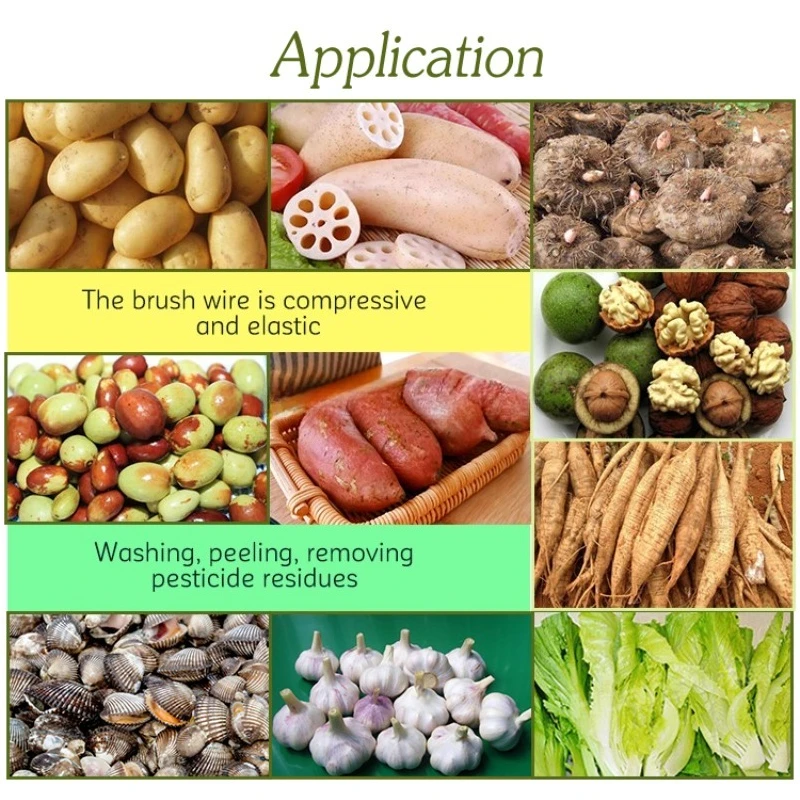 6M Food Processing Lines Avocado Washing Machine Potato Washing Machines