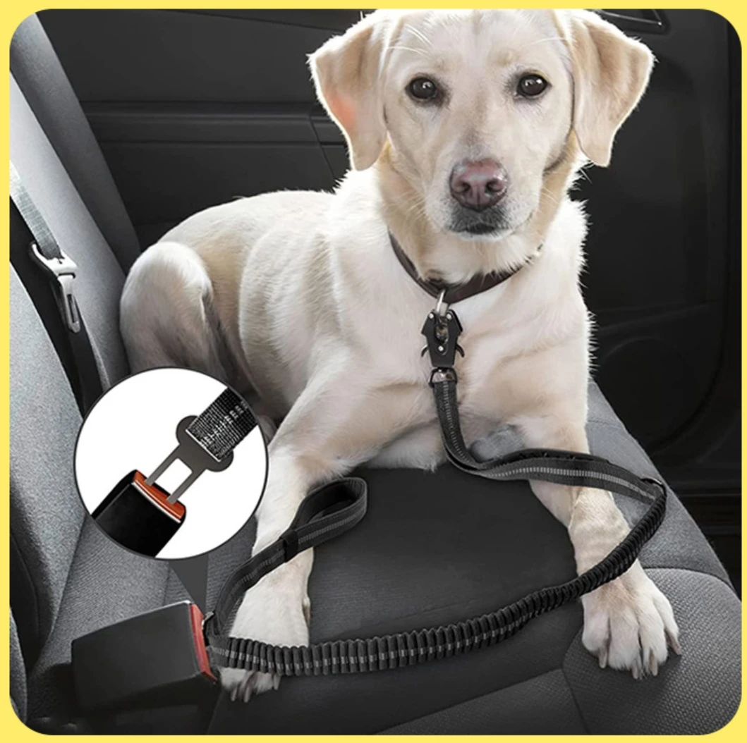 Heavy Duty Dog Leash with Elastic Bungee, Shock Absorption, Safety Clip Included, Medium and Large Dogs