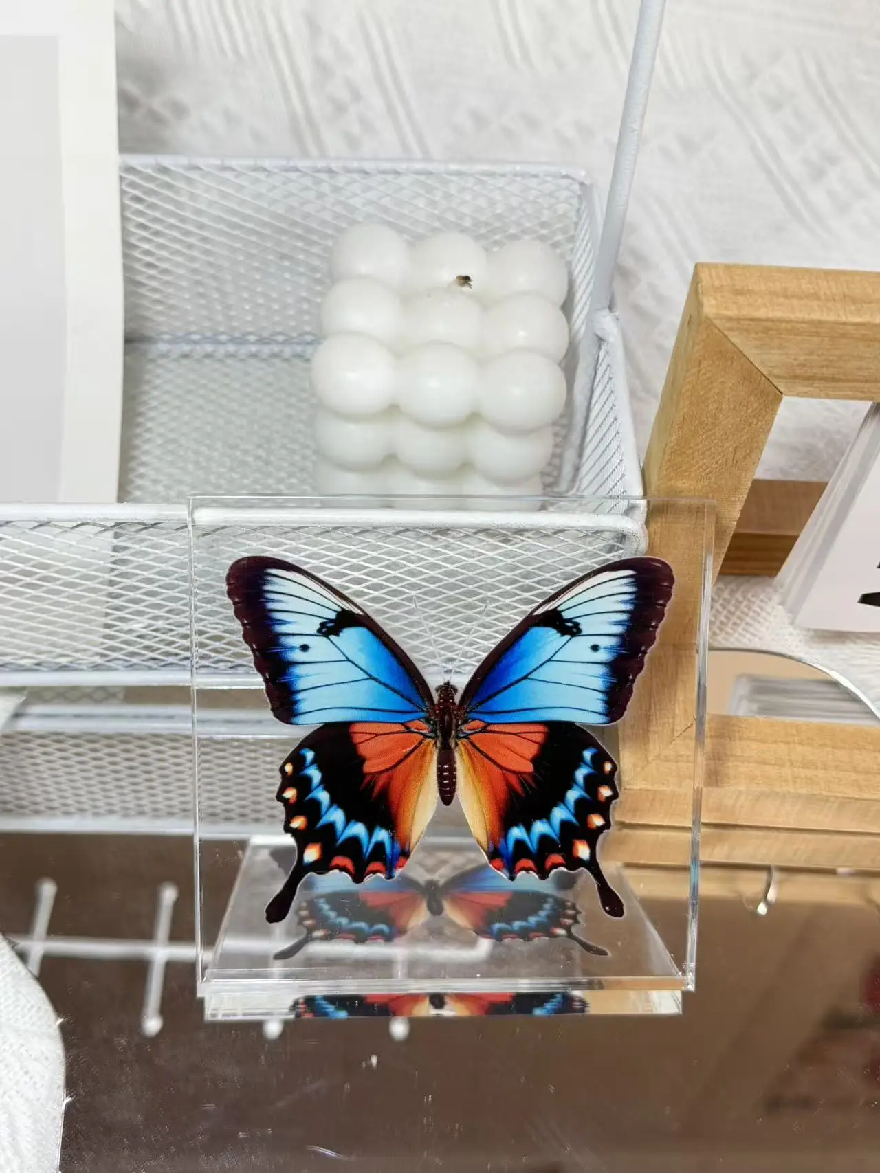 1 Stück Handgefertigtes Schmetterlings-Exemplar als Schreibtischdekoration, Kleine Ornament-Deko für Zuhause, Geschenk für Kinder und Mädchen – Detail 14