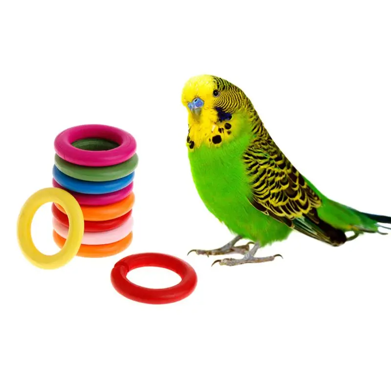 10Pcs Wooden Rings Bird Chewing Colorful Bird Toy Accessories Parrot Chew Blocks for Parakeets Cockatiels Conures