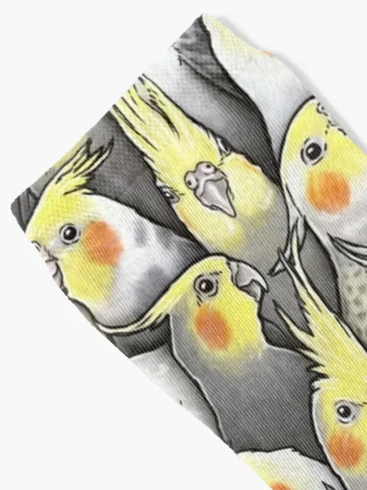 Cockatiels Galore Socks with print valentine gift ideas bright garter Men's Socks Luxury Women's