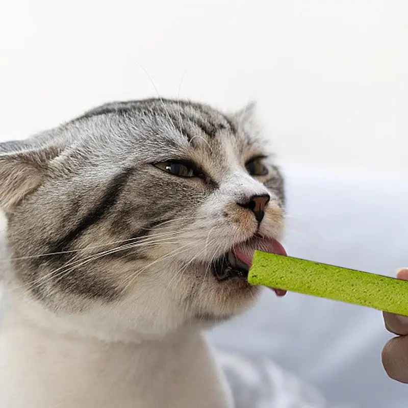 Cat Grass Teeth Grinding Stick Pet Snacks Hairball Removal Mild Hair Row Ready To Eat Baby Cat Teeth Cleaning Cat Grass Stick