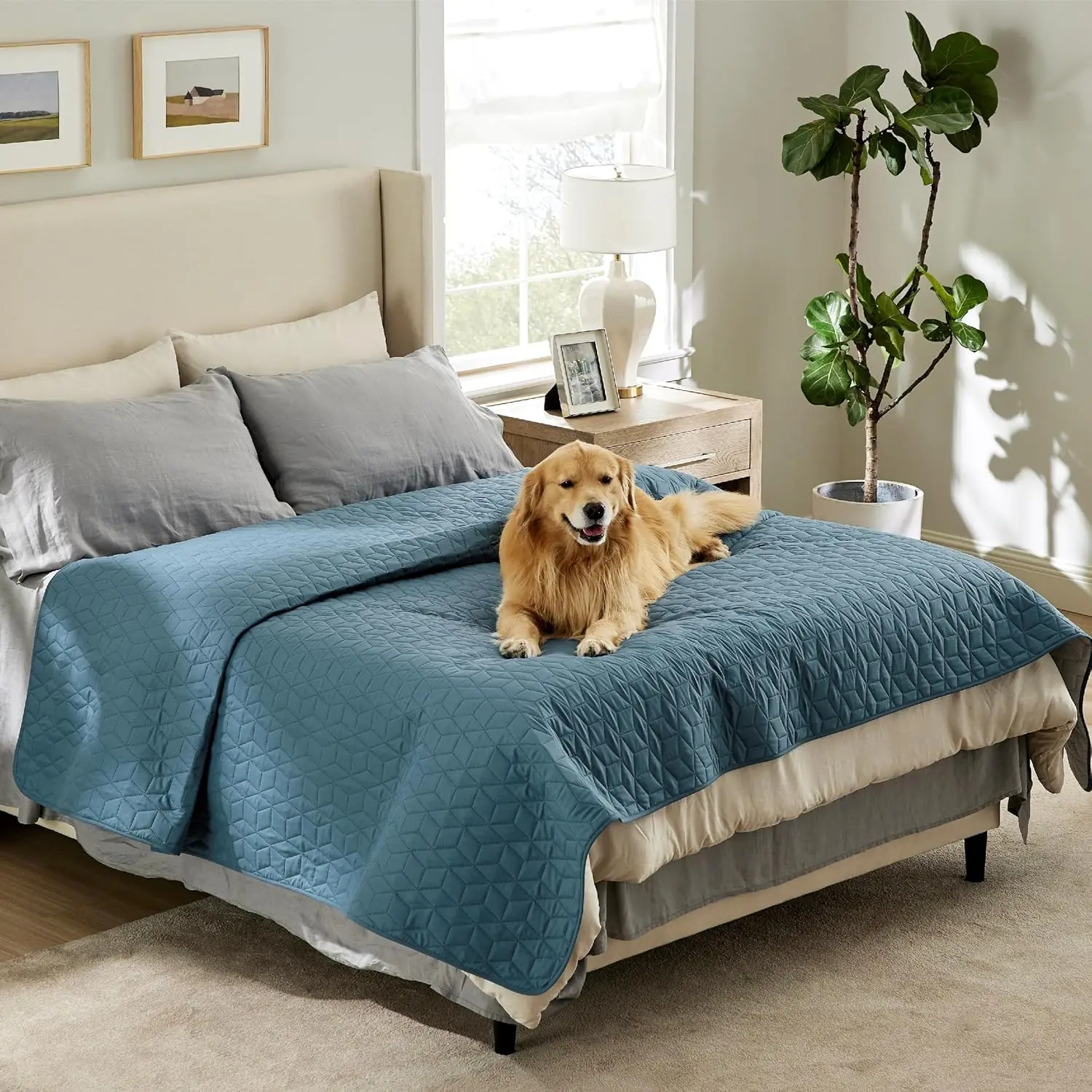 

Водонепроницаемый моющийся чехол для кровати для собак, нескользящая защита для мебели для домашних животных, синий 82x102IN