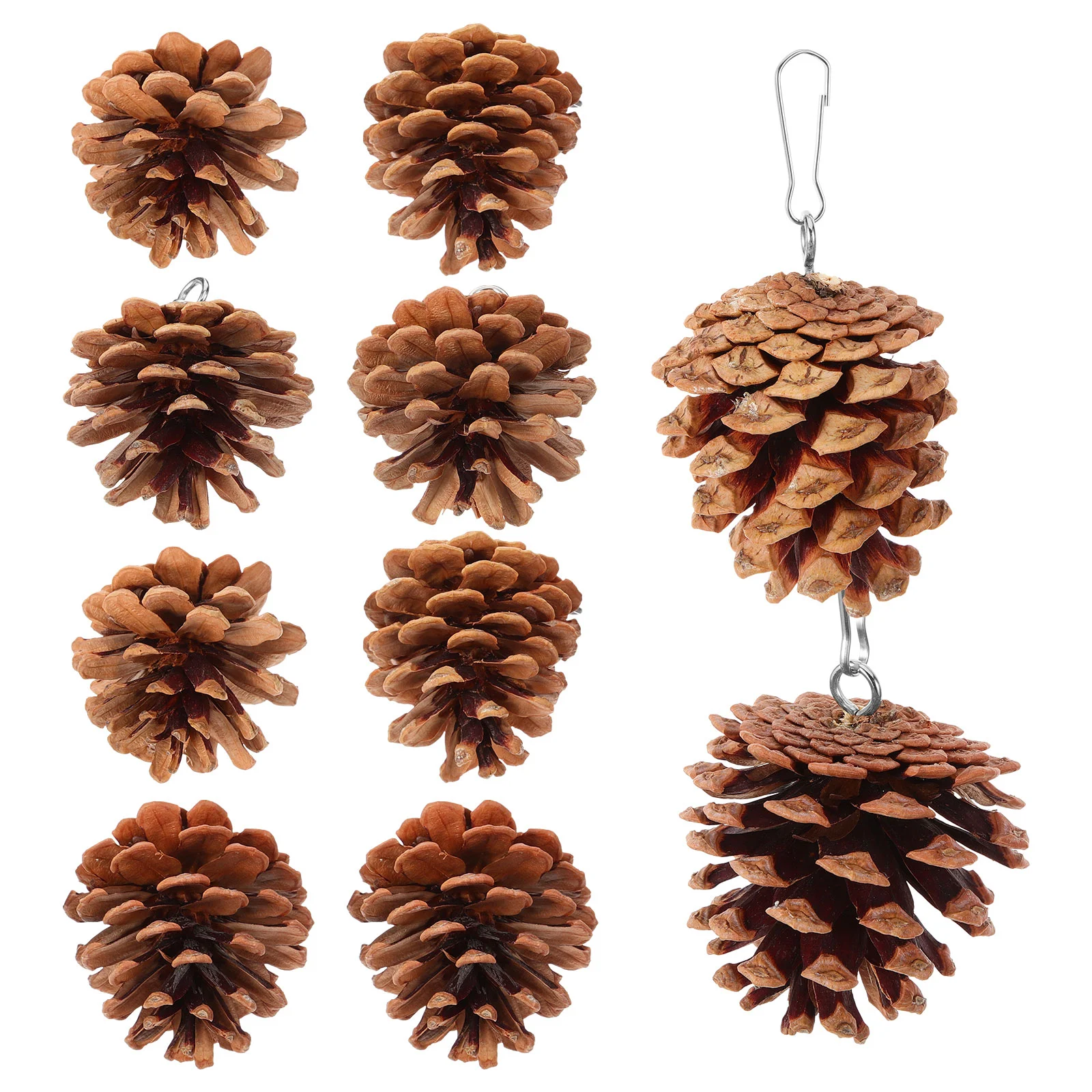 10 Pcs Parrot Chewing Toy Lovely Bird Pine Cones Wear-resistant Foraging Large Cage