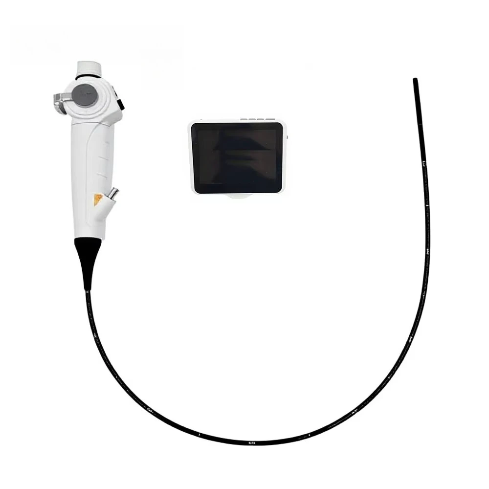 Portable flexible video endoscopes with rotatable screens for  in hospitals and veterinary applications