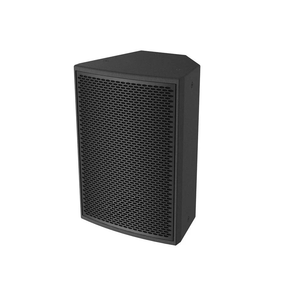 Professional RMS 300W 10 Inch Portable pa Speaker System