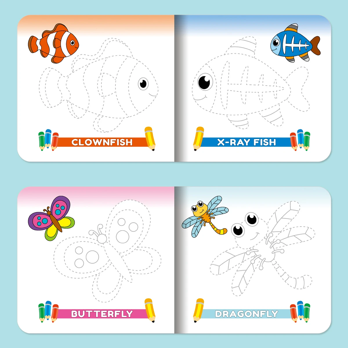 10 - Pack Trace & Color Books for Kids - Frog in Animals Series | English Version | 12 - Page, Round - Corner Design