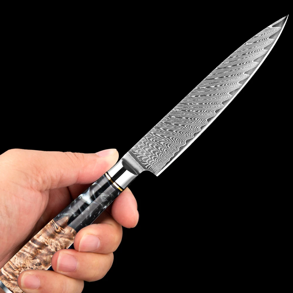 

5 Inch Utility Knife Professional Chef Knife Fruit Knife High Quality 67-layer Damascus Steel Peeling Knife Black Resin Handle