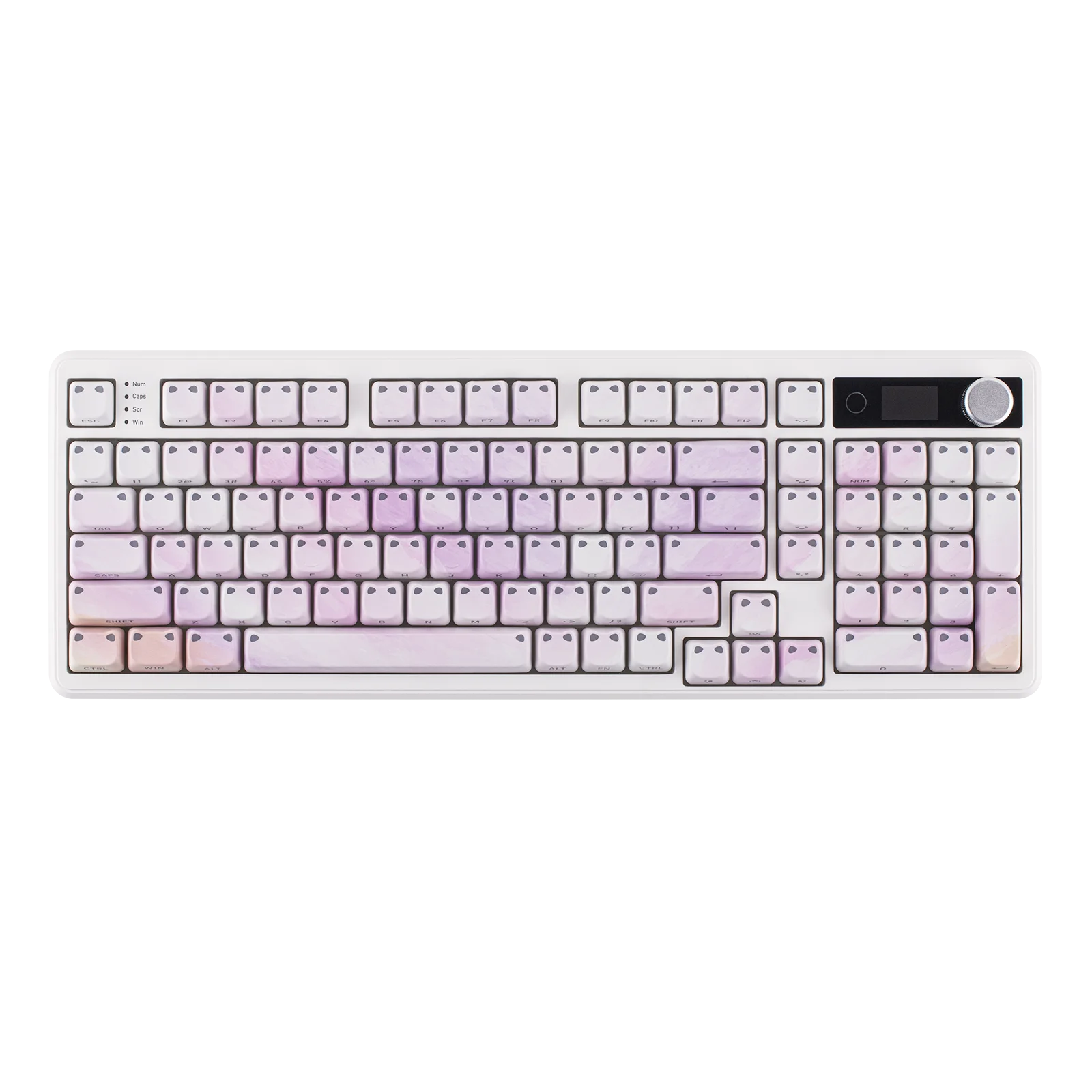 Sace9d2a3687a45c6a6e02673a4af73e8h.png