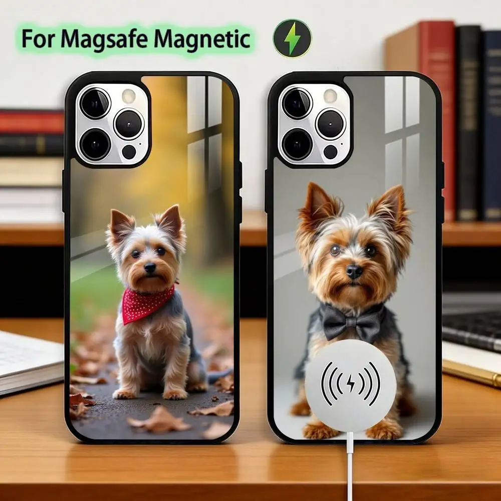 

Yorkshire Terrier Dog Phone Case For iPhone17,16,15,14,13,12,11 Plus,Pro Magnetic with Magsafe Wireless Charging