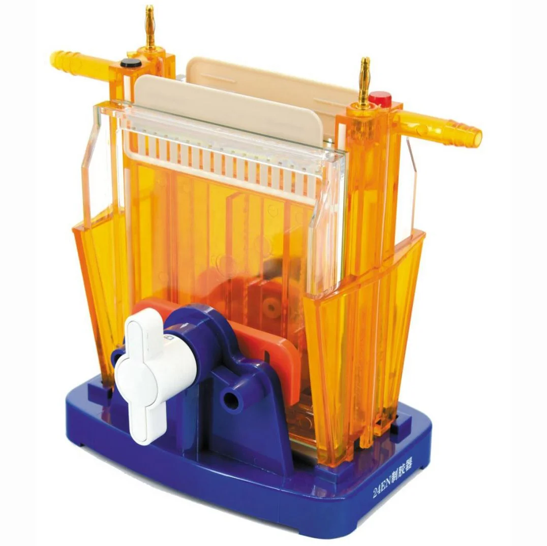 

CHINCAN DYCZ-24EN Vertical Gel Electrophoresis for SDS-PAGE Native PAGE Electrophoresis