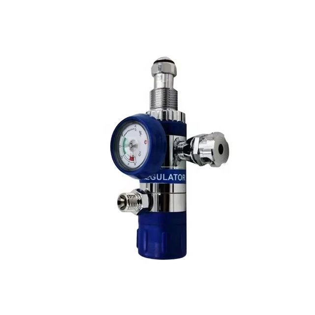 2025/ Regulator With One French Standard Mini Outlet