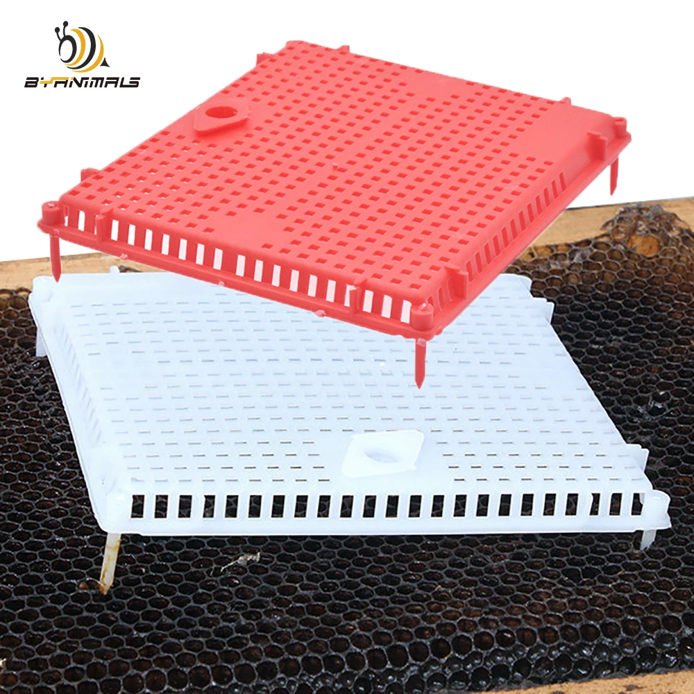 1PCS New Intrudction Frame Cage To Colony Press In Comb Large Space Trap Queen Against Isolate Plastic Beekeeping Tool Supplies