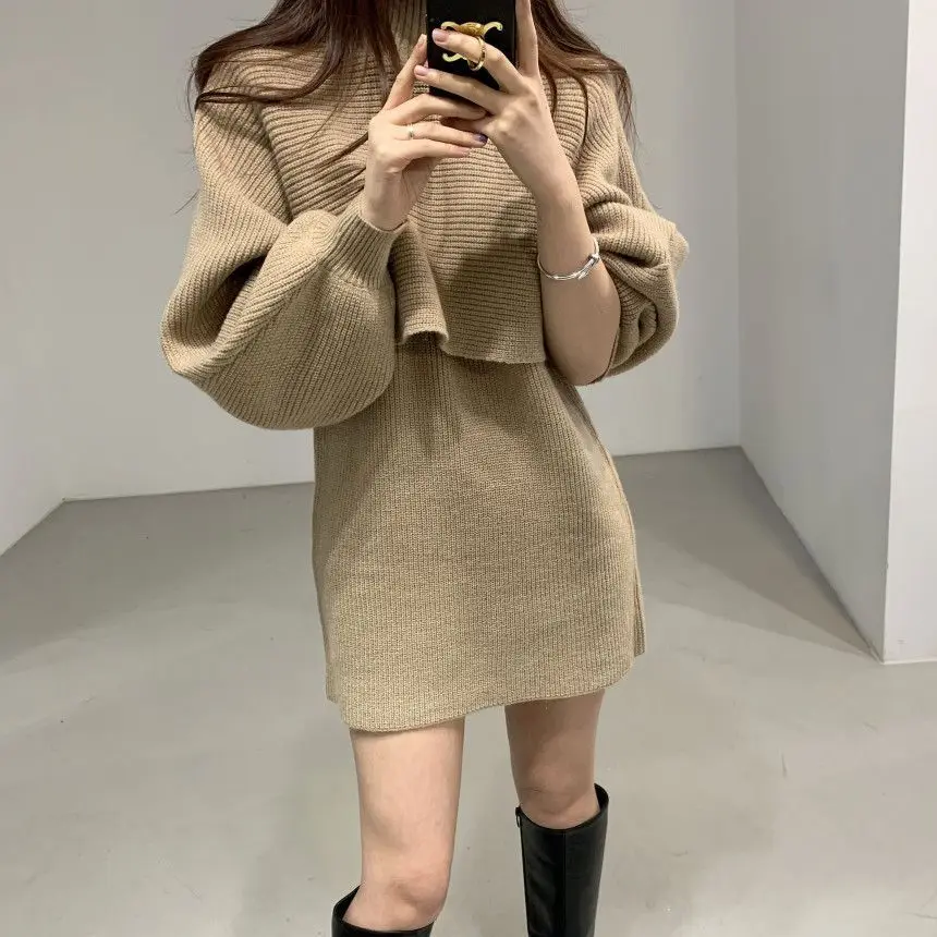 

Elegant Turtleneck Slim Long Sweater Dress Women Thick Knit Autumn Winter Dress Female Slim A-line Basic Dress Casual E1650