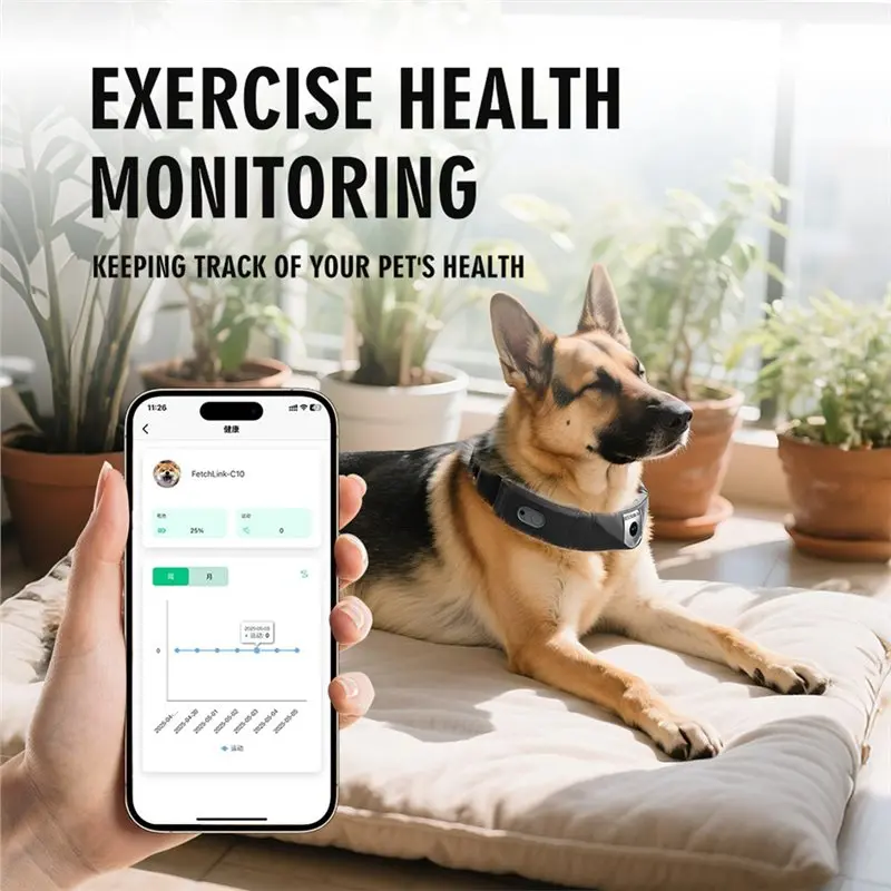 ABZZ-sistema inalámbrico de cerca para perros, cámara GPS para Collar de cerca para perros, grabación y vídeo en vivo, Audio bidireccional para animales de compañía