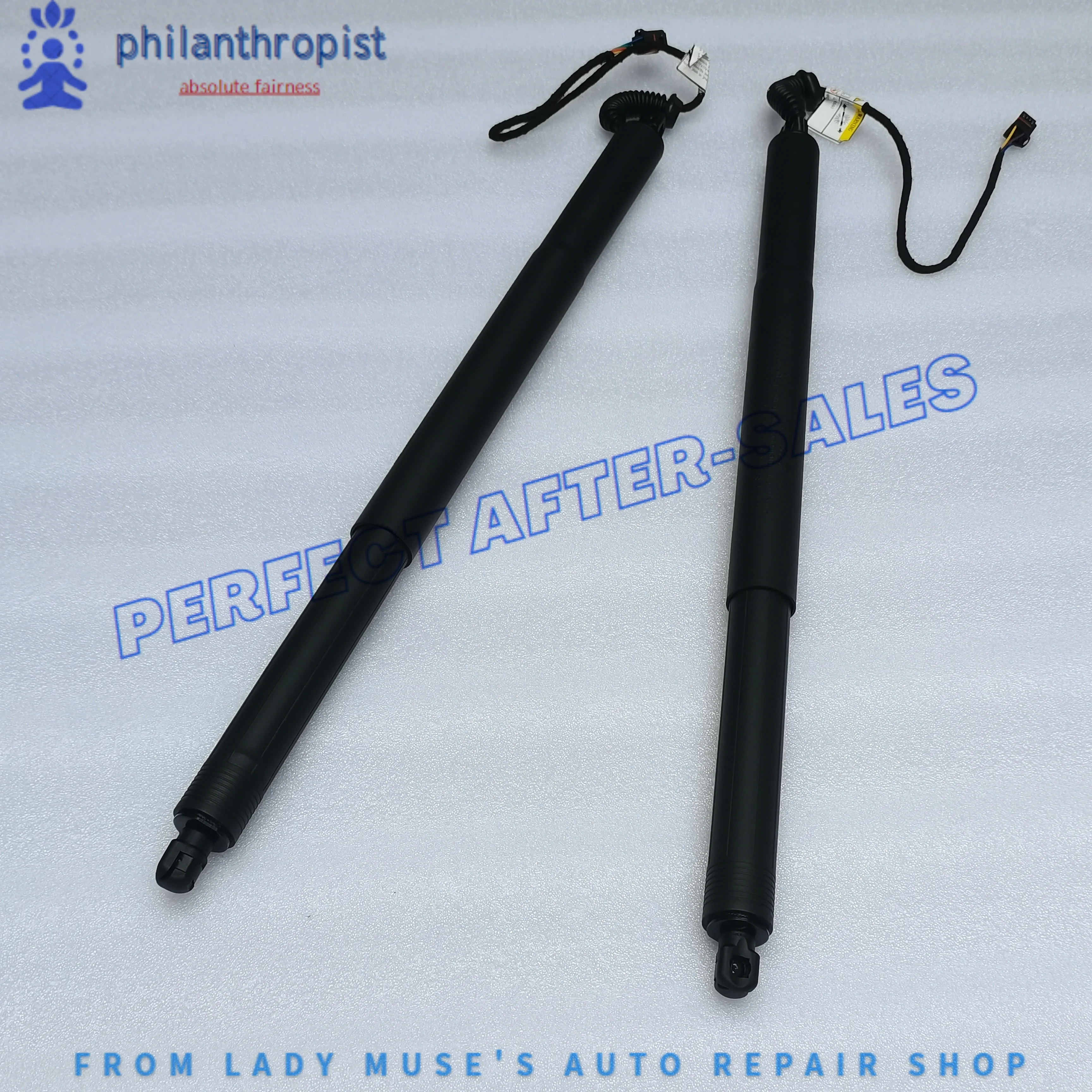

For Audi Q3 Rear Gas Spring Boot Strut 83A827851D 83A827851A
