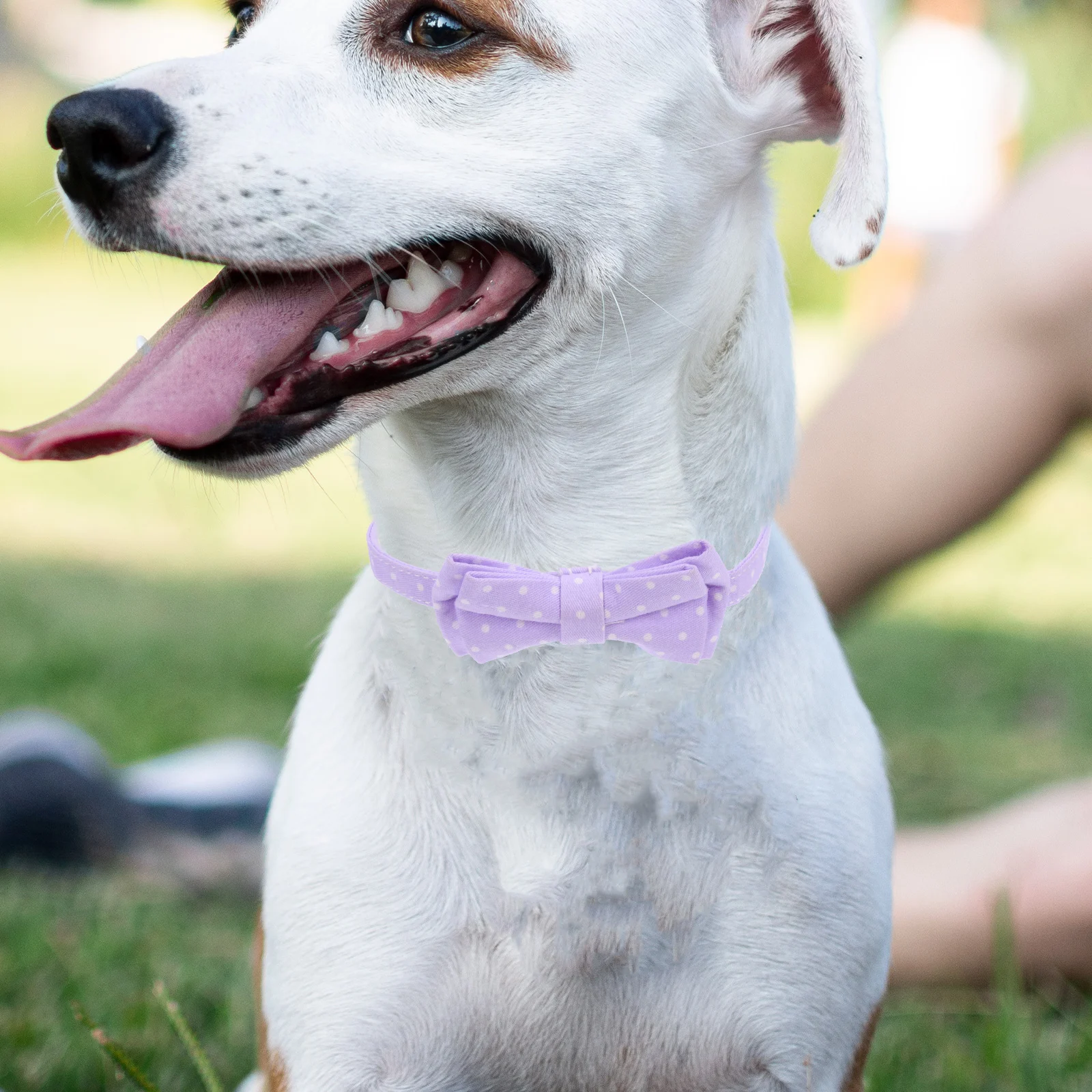 

Collar Puppy Bow Accessories Tie Dog Neck Soft Lavender Cotton Collars for Small Dogs