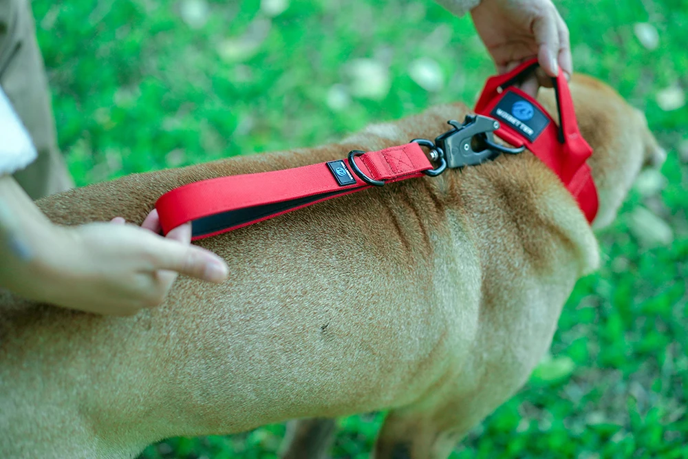 Quick Release Militär Verkehr Große Heavy Duty Nylon Gehen Starke Hund Griff Taktische Ausbildung Blei Strap Tsug Halsband Se – Detail 20