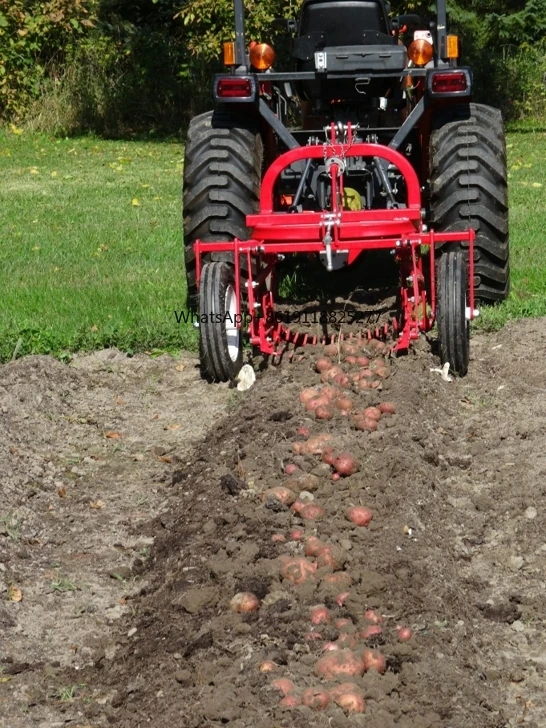 Agricultural mini tractor pto drive potato harvest machine three point hitch potato digger