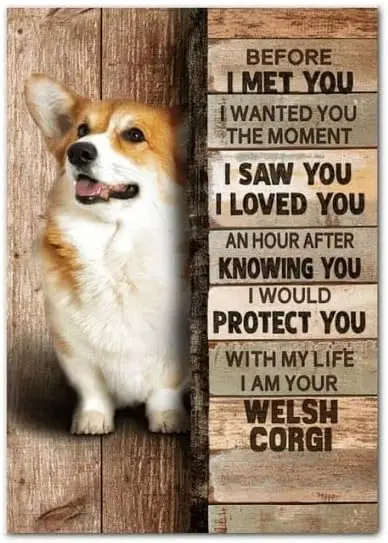 Metal Sign I Saw You I Love You Giving Welsh Corgi Vintage Kitchen Signs Wall Decor Aluminum Signs for Home Bars