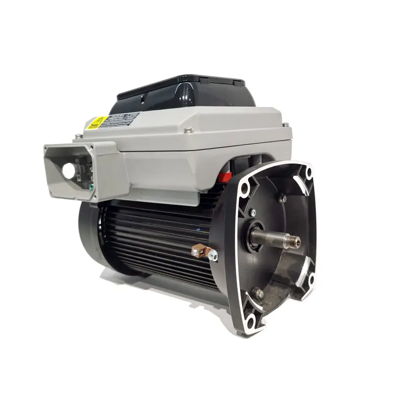 VSM15SQ Energy-Efficient Motor 1.5HP Residential Swimming Pool Electric Motor for Pool Pump