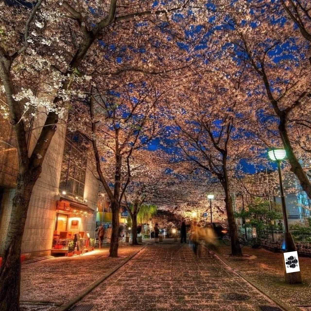 GPM 合金 7075 六角アダプター TRAXXAS Sledge 1/10 W/Wide Maxx E-Revo VXL 2.0 用