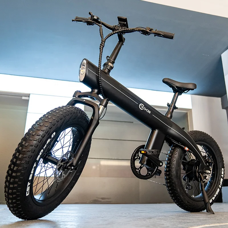 750W Fat Tire Electric Bike 20 Inch 45km/h High Speed E-bike Off-road Mountain City Cargo Bicycle Adults Bicicleta Electrica MTB