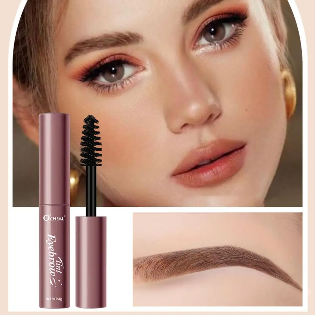 Four-Color Three-Dimensional Eyebrow Cream Waterproof Long-Lasting Not Natural Non-Decolorizing Sweat-Proof Shaping Smudge S2G2