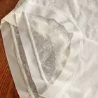 "transparent" "panties"